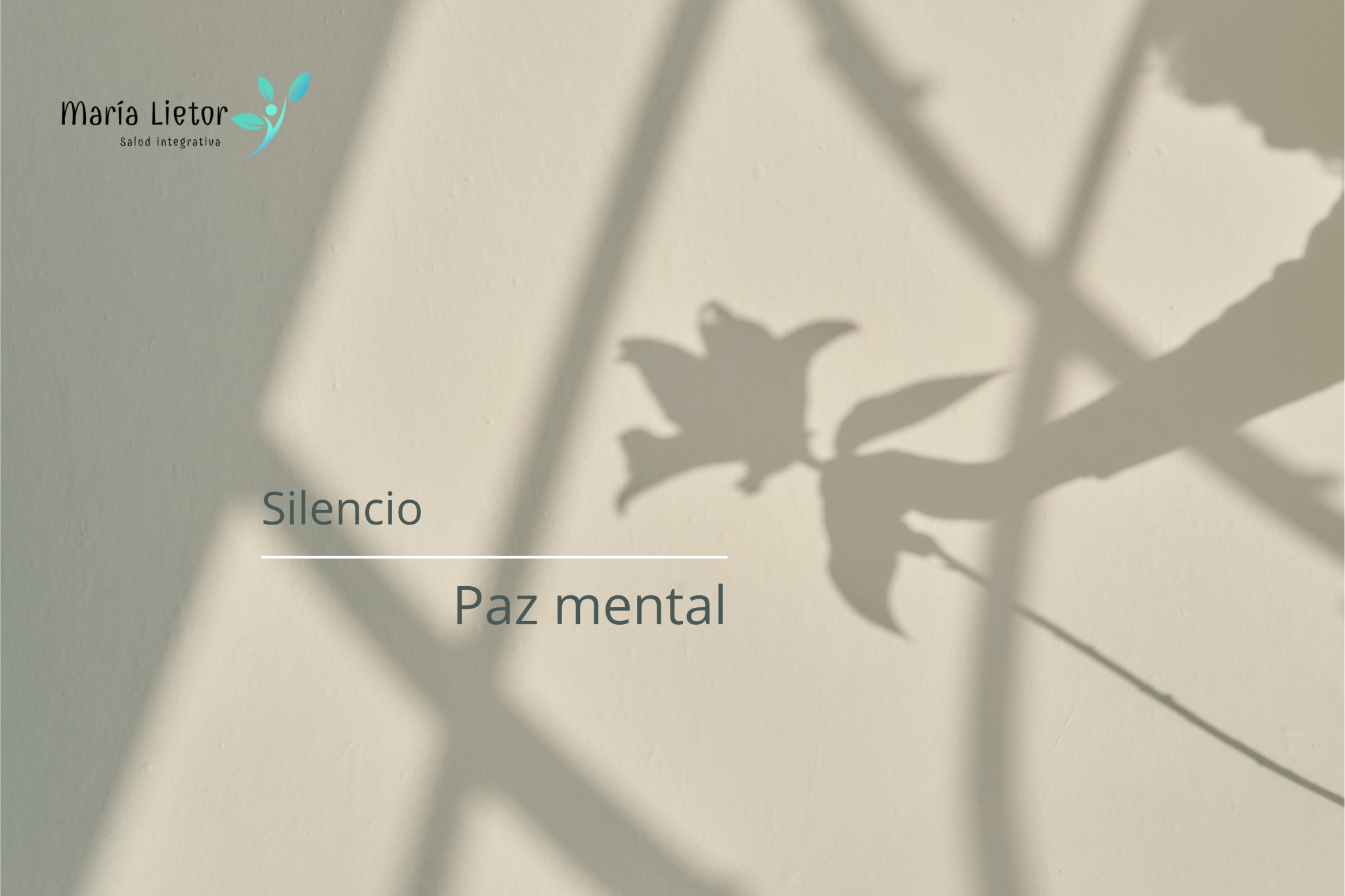 Retiro silencio